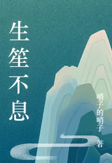 生笙不息之穿越古代我靠輿圖開掛 封面