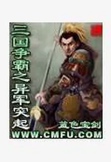 三國爭霸之異軍突起 封面