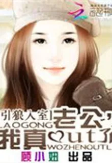 引狼入室：老公，我真out了 封面