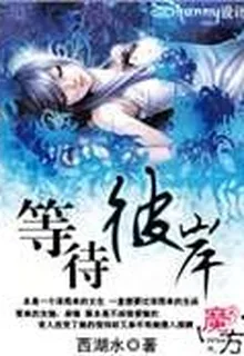 等待彼岸 封面