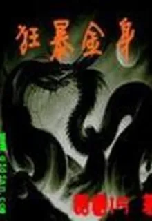 狂暴金身 封面