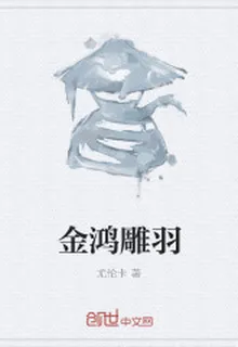 金鴻雕羽 封面