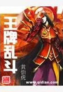 王牌亂鬥 封面