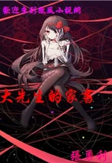大先生的家書 封面