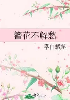 簪花不解愁 封面