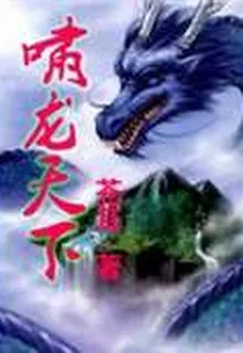 嘯龍天下 封面