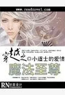 穿越之魔法至尊 封面