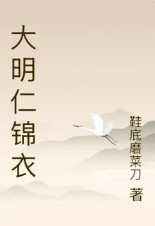 大明仁錦衣 封面