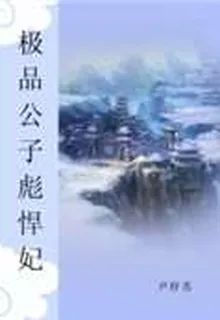 極品公子彪悍妃 封面