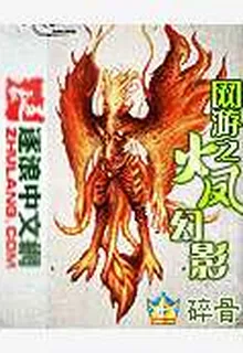 網遊之火鳳幻影 封面