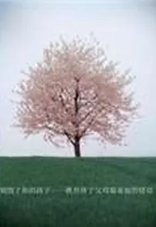 別毀了你的孩子——教育孩子父母最易犯的錯誤 封面