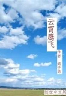 雲霄鷹飛 封面
