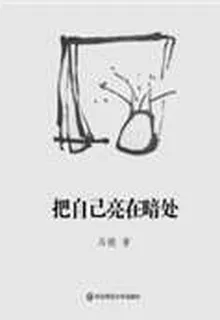 把自己亮在暗處 封面