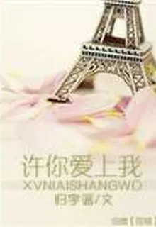 許你愛上我 封面