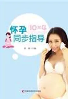 懷孕10×4同步指導 封面