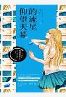 仰望天幕的流星 封面