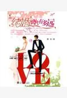 結婚離你有多遠 封面