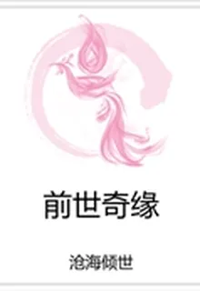 前世奇緣 封面