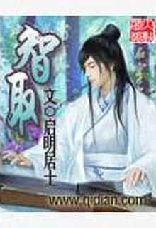 智取 封面