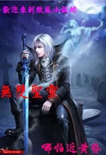 無雙聖靈 封面