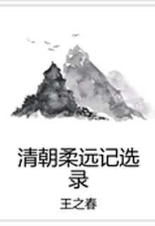 清朝柔遠記選錄 封面