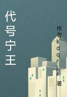 代號寧王 封面