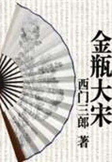 金瓶大宋 封面