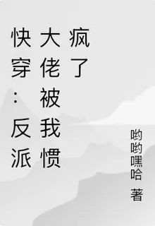 快穿：反派大佬被我慣瘋了 封面