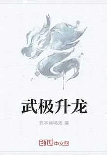 武極升龍 封面