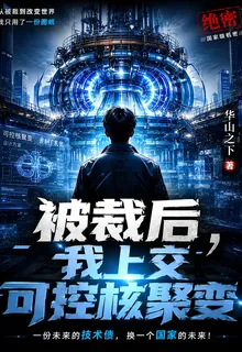 被裁後，我上交可控核聚變 封面