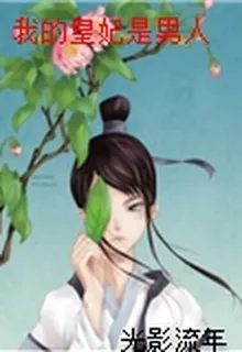 我的皇妃是男人 封面