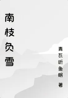 南枝負雪 封面
