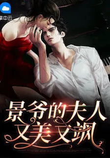 景爺的夫人又美又颯 封面