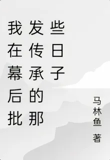 我在幕後批發傳承的那些日子 封面