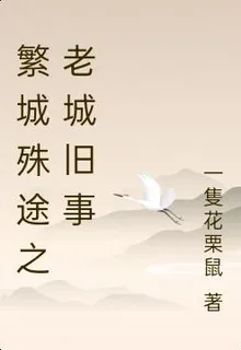 繁城殊途之老城舊事 封面