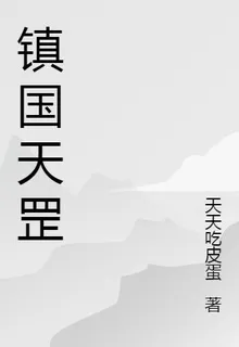 鎮國天罡 封面