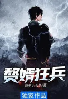 贅婿狂兵 封面