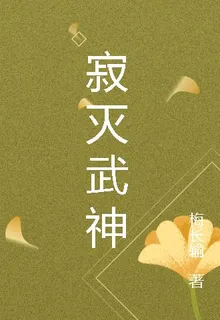 寂滅武神 封面