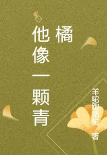 他像一顆青橘 封面