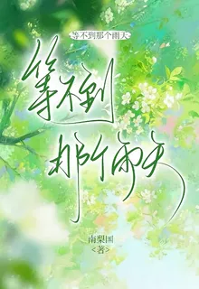 等不到那個雨天 封面