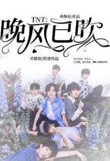 TNT：晚風已吹 封面