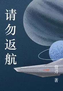 請勿返航 封面