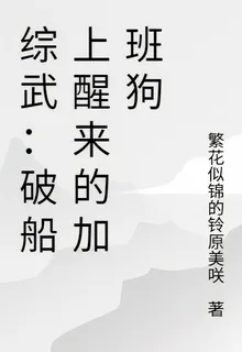 綜武：破船上醒來的加班狗 封面
