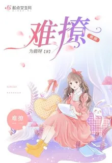 難撩 封面