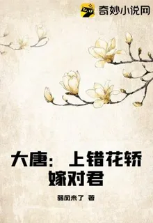 大唐：上錯花轎嫁對君 封面
