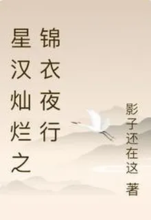 星漢燦爛之錦衣夜行 封面