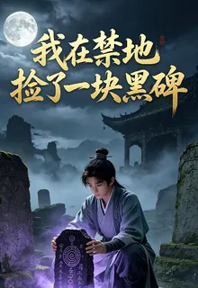 我在禁地撿了一塊黑碑 封面