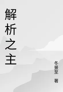 解析之主 封面