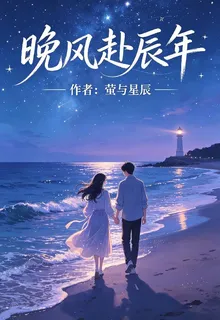 晚風赴辰年 封面