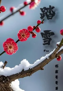 ??Pro 封面